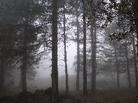 Monte Spagnolo